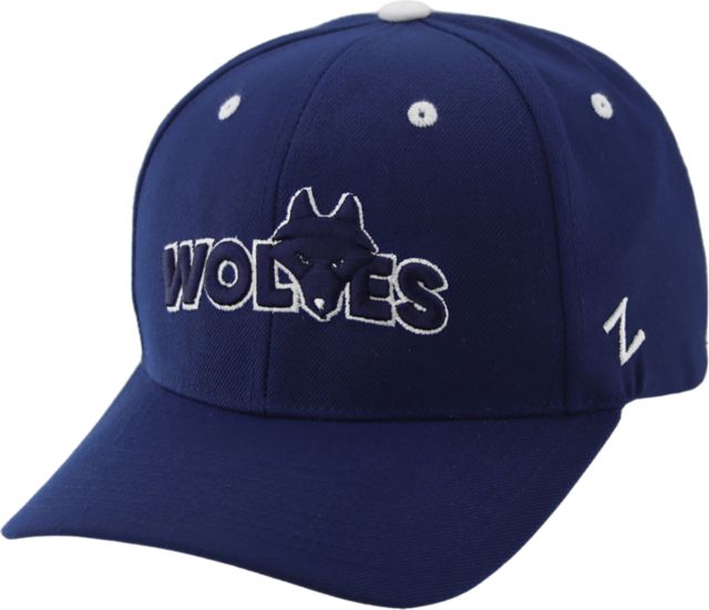 Northwestern Polytechnic Adjustable Cap