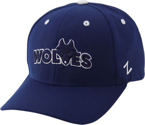 Northwestern Polytechnic Adjustable Cap