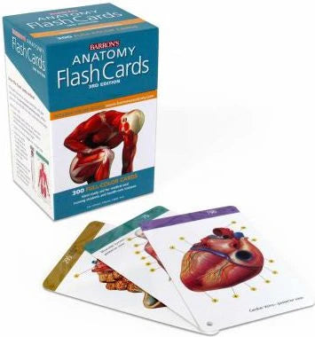 Barron's Anatomy Flash Cards